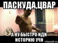 паскуда,цвар а ну быстро иди историю учи