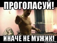 проголасуй! иначе не мужик!