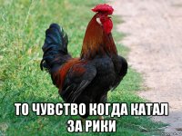  то чувство когда катал за рики