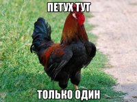 петух тут только один