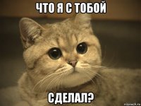 что я с тобой сделал?