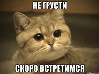 не грусти скоро встретимся