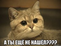  а ты ещё не нашёл????