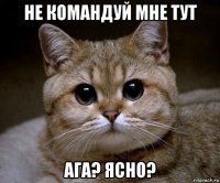 не командуй мне тут ага? ясно?