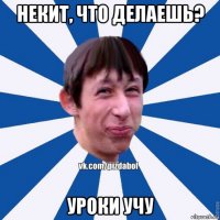 некит, что делаешь? уроки учу