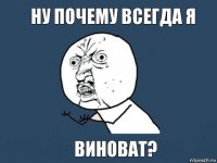 Ну почему всегда я виноват?