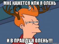 мне кажется или я олень ? и в правду я олень!!!