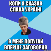 коли я сказав слава україні в мене попугай вперше заговорив