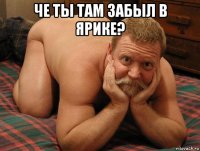 че ты там забыл в ярике? 