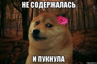 не содержалась и пукнула