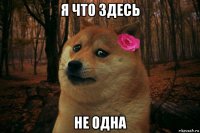 я что здесь не одна