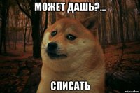 может дашь?... списать