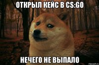 открыл кейс в cs:go нечего не выпало