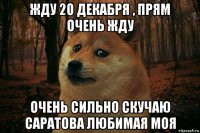 жду 20 декабря , прям очень жду очень сильно скучаю саратова любимая моя