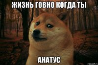 жизнь говно когда ты анатус