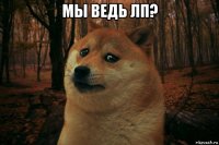 мы ведь лп? 