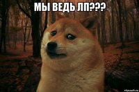 мы ведь лп??? 