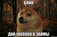 блин дай 1000000 в займы