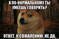 а по-нормальному ты умеешь говорить? ответ, к сожалению, не да.