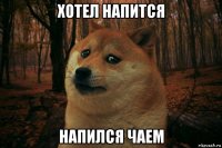 хотел напится напился чаем