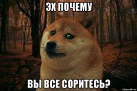 эх почему вы все соритесь?