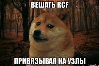 вешать rcf привязывая на узлы