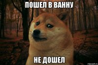 пошел в ванну не дошел