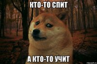 кто-то спит а кто-то учит