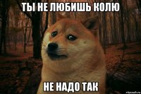 ты не любишь колю не надо так