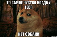 то самое чуство когда у тебя нет собаки