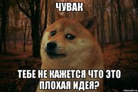 чувак тебе не кажется что это плохая идея?