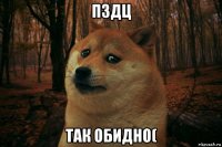 пздц так обидно(