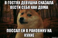 в гостях девушка сказала вести себя как дома поссал ей в раковину на кухне