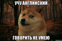 учу английский говорить не умею