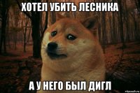 хотел убить лесника а у него был дигл