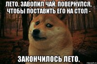 лето. завопил чай. повернулся, чтобы поставить его на стол - закончилось лето.