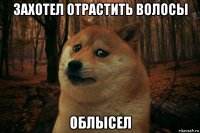 захотел отрастить волосы облысел