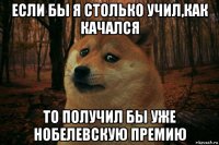 если бы я столько учил,как качался то получил бы уже нобелевскую премию