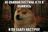 не обижай костика, а то я обижусь и по ебалу настучу!