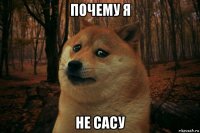 почему я не сасу