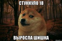 стукнуло 18 выросла шишка