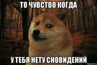 то чувство когда у тебя нету сновидений