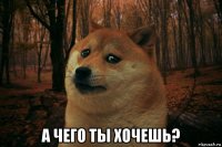  а чего ты хочешь?