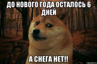 до нового года осталось 6 дней а снега нет!!