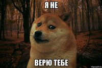 я не верю тебе