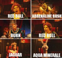 Red bull adrenaline rush burn red bull Jaguar aqua minerale