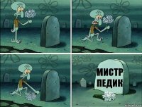 мистр педик