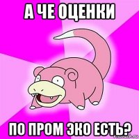 а че оценки по пром эко есть?