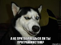 А не притворяешься ли ты программистом?