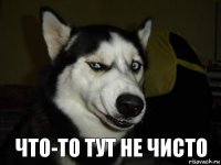 Что-то тут не чисто